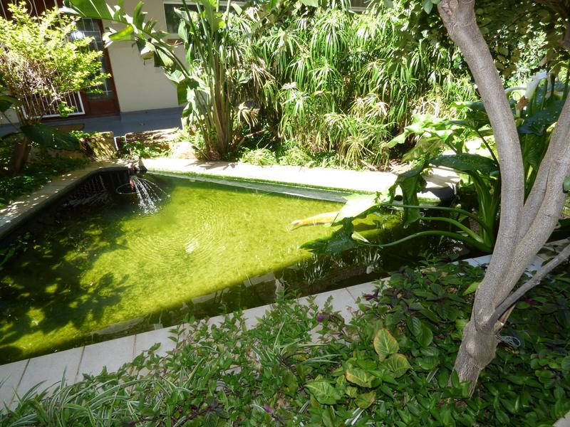 To Let 1 Bedroom Property for Rent in Gardens Western Cape